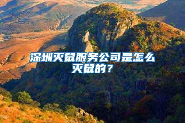 深圳滅鼠服務(wù)公司是怎么滅鼠的?