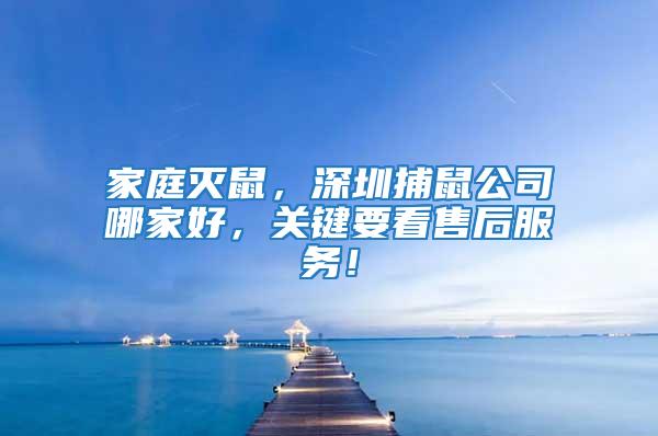 家庭滅鼠,深圳捕鼠公司哪家好,關鍵要看售后服務!