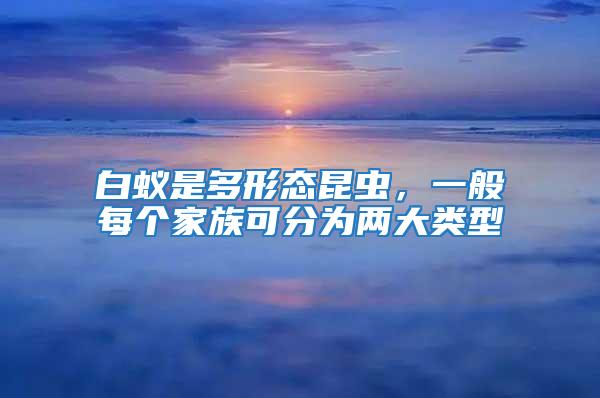 白蟻是多形態昆蟲,一般每個家族可分為兩大類型