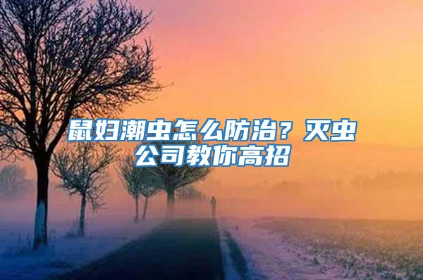 鼠婦潮蟲(chóng)怎么防治？滅蟲(chóng)公司教你高招