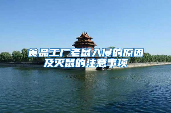 食品工廠老鼠入侵的原因及滅鼠的注意事項