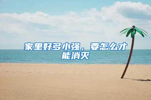 家里好多小強,要怎么才能消滅