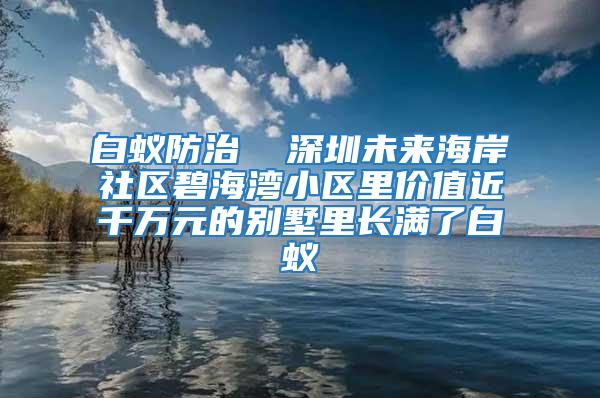 白蟻防治 深圳未來海岸社區碧海灣小區里價值近千萬元的別墅里長滿了白蟻