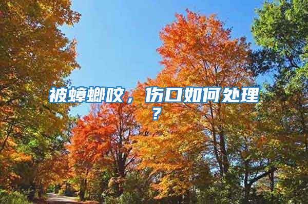 被蟑螂咬,傷口如何處理?