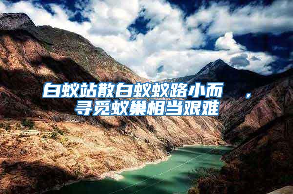 白蟻站散白蟻蟻路小而骫骳,尋覓蟻巢相當(dāng)艱難