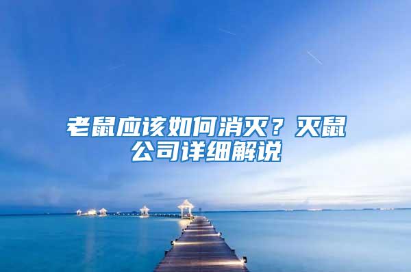 老鼠應該如何消滅?滅鼠公司詳細解說