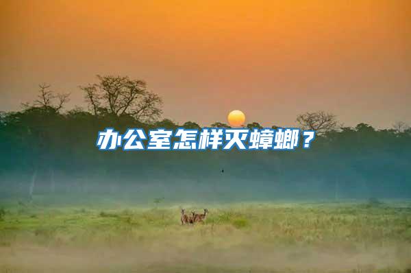 辦公室怎樣滅蟑螂?