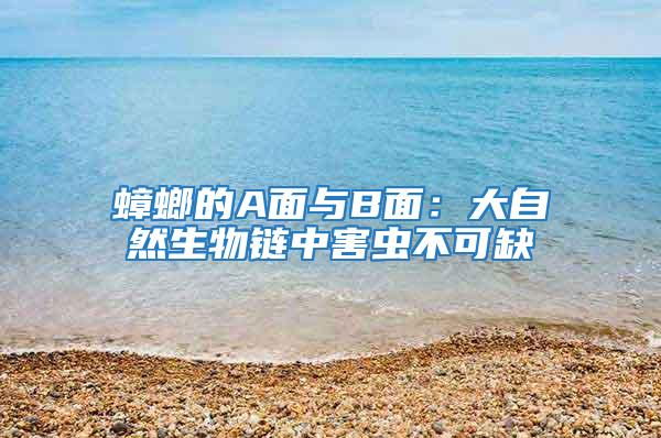 蟑螂的A面與B面:大自然生物鏈中害蟲不可缺