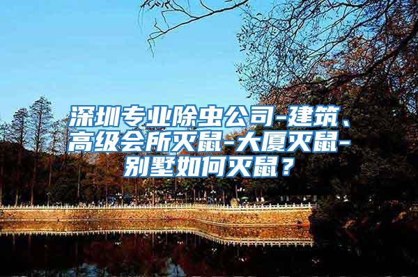 深圳專業除蟲公司-建筑、高級會所滅鼠-大廈滅鼠-別墅如何滅鼠?