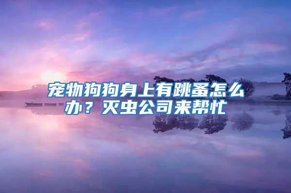 寵物狗狗身上有跳蚤怎么辦?滅蟲(chóng)公司來(lái)幫忙