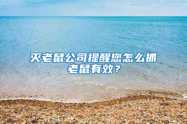 滅老鼠公司提醒您怎么抓老鼠有效?