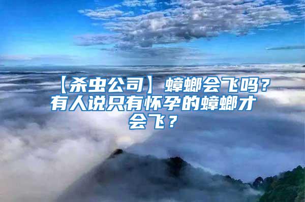 【殺蟲公司】蟑螂會飛嗎?有人說只有懷孕的蟑螂才會飛?
