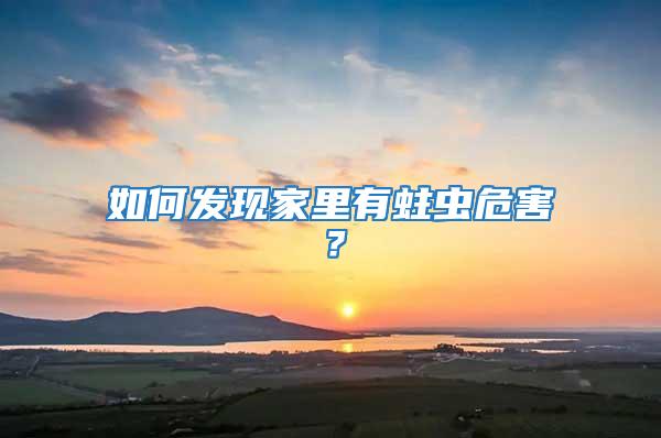 如何發(fā)現(xiàn)家里有蛀蟲危害?