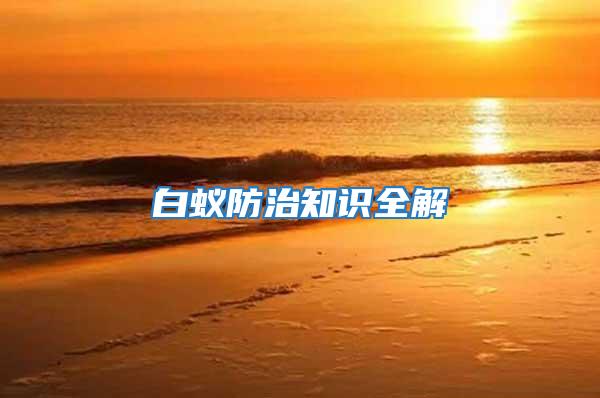 白蟻防治知識全解