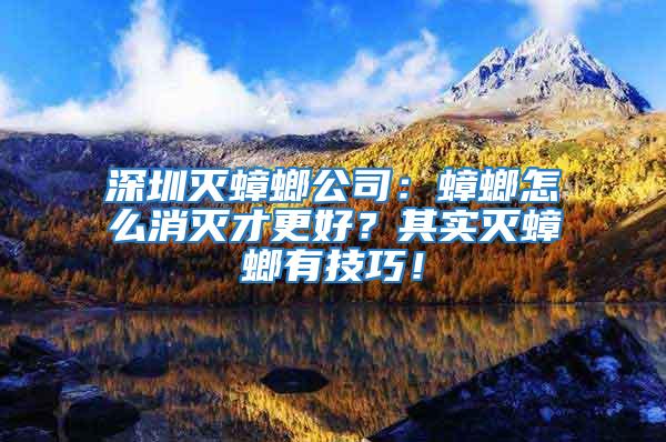 深圳滅蟑螂公司：蟑螂怎么消滅才更好？其實滅蟑螂有技巧！