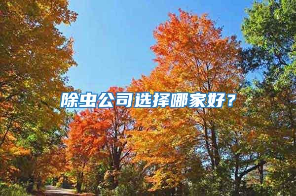 除蟲公司選擇哪家好?