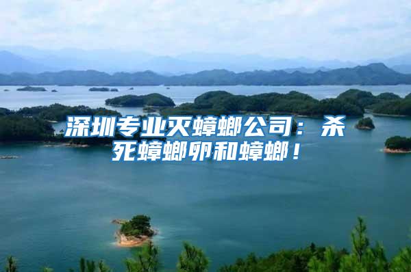 深圳專業滅蟑螂公司:殺死蟑螂卵和蟑螂!