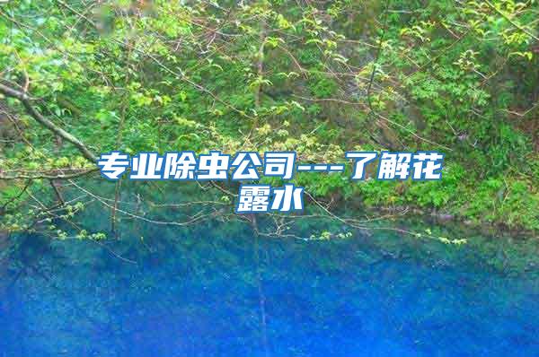 專業除蟲公司---了解花露水