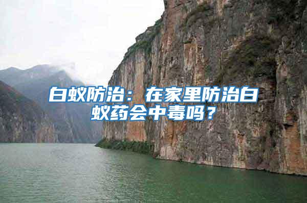 白蟻防治:在家里防治白蟻藥會中毒嗎?