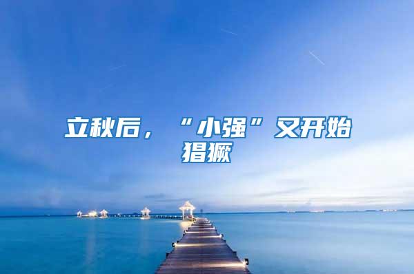 立秋后,“小強”又開始猖獗