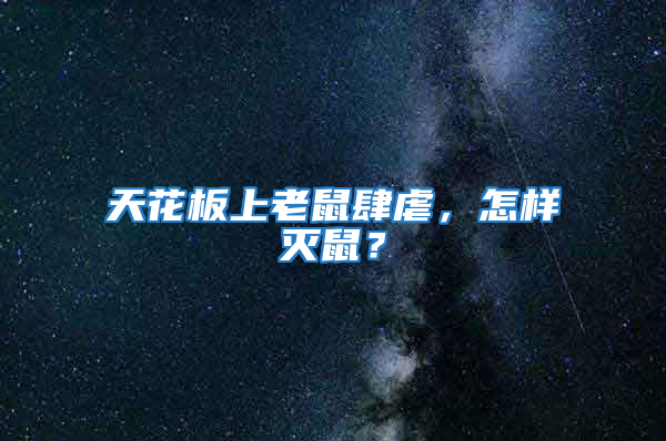 天花板上老鼠肆虐，怎樣滅鼠？