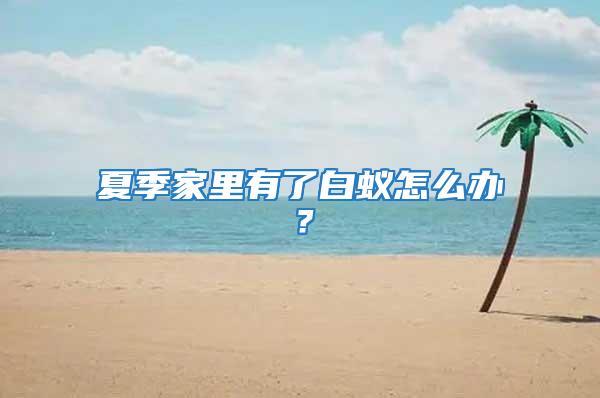 夏季家里有了白蟻怎么辦？