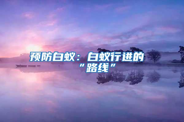 預(yù)防白蟻:白蟻行進(jìn)的“路線”