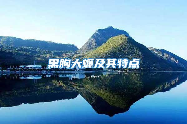 黑胸大蠊及其特點