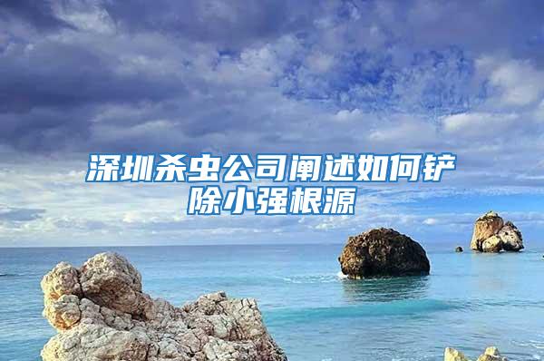 深圳殺蟲公司闡述如何鏟除小強根源