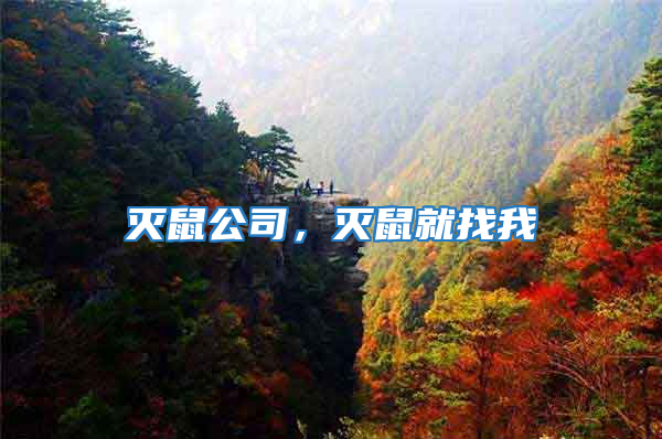 滅鼠公司,滅鼠就找我