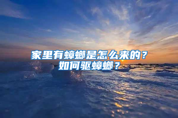 家里有蟑螂是怎么來的？如何驅蟑螂？