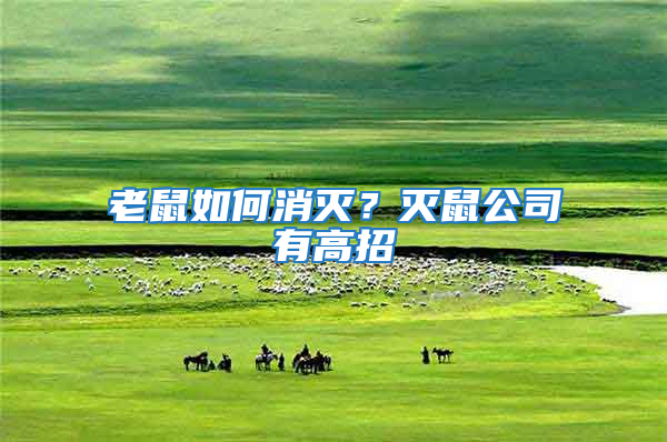 老鼠如何消滅？滅鼠公司有高招