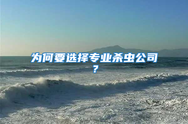 為何要選擇專業殺蟲公司?