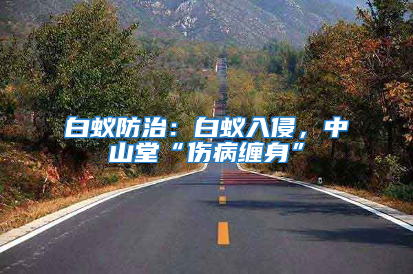 白蟻防治：白蟻入侵，中山堂“傷病纏身”