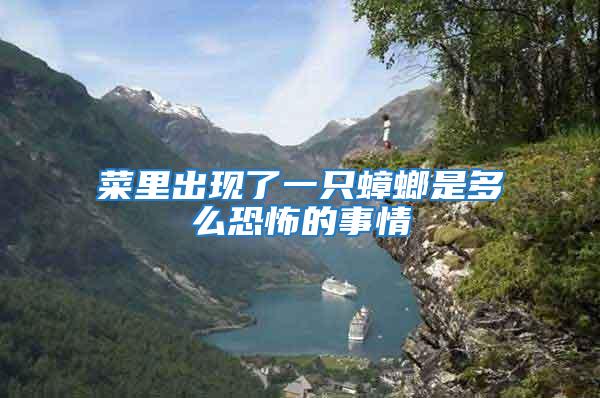 菜里出現了一只蟑螂是多么恐怖的事情