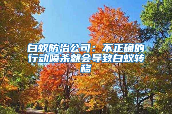 白蟻防治公司:不正確的行動噴殺就會導致白蟻轉移