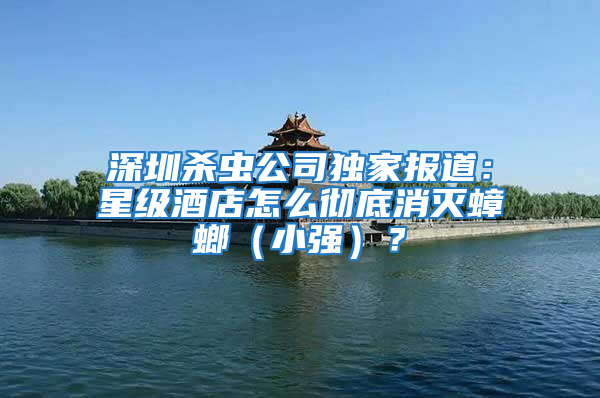 深圳殺蟲公司獨家報道:星級酒店怎么徹底消滅蟑螂(小強)?