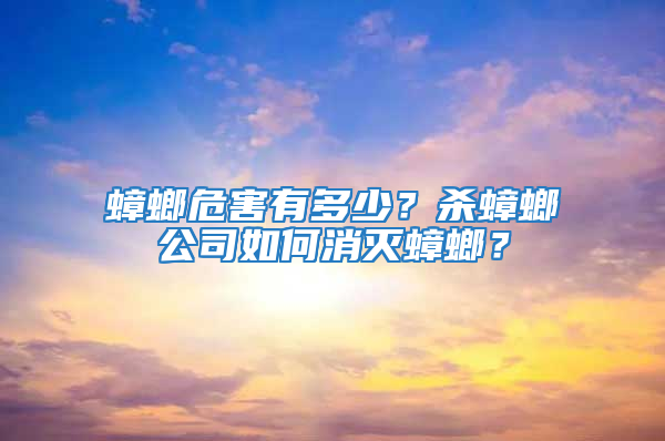蟑螂危害有多少？殺蟑螂公司如何消滅蟑螂？
