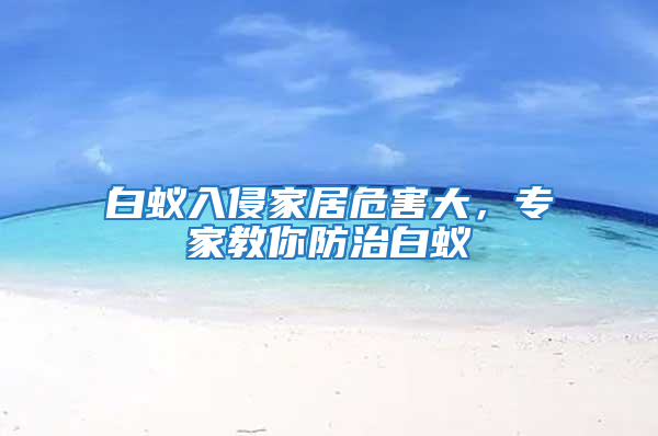 白蟻入侵家居危害大,專家教你防治白蟻