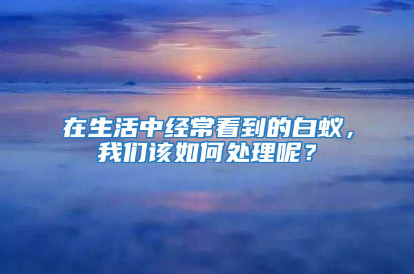 在生活中經(jīng)常看到的白蟻,我們該如何處理呢?