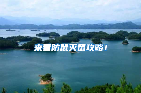 來看防鼠滅鼠攻略!