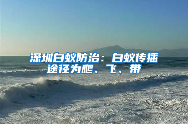 深圳白蟻防治：白蟻傳播途徑為爬、飛、帶