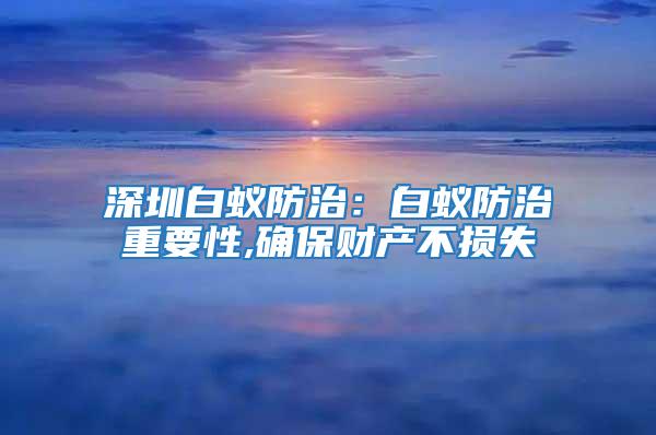 深圳白蟻防治：白蟻防治重要性,確保財產不損失
