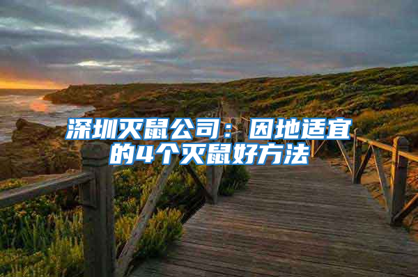 深圳滅鼠公司:因地適宜的4個滅鼠好方法
