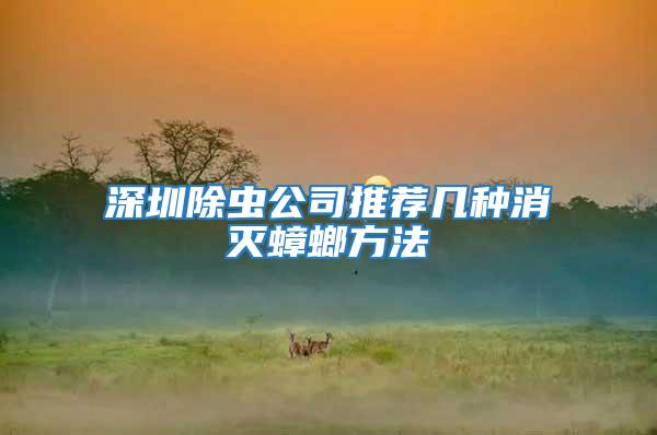 深圳除蟲公司推薦幾種消滅蟑螂方法