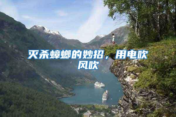 滅殺蟑螂的妙招，用電吹風吹