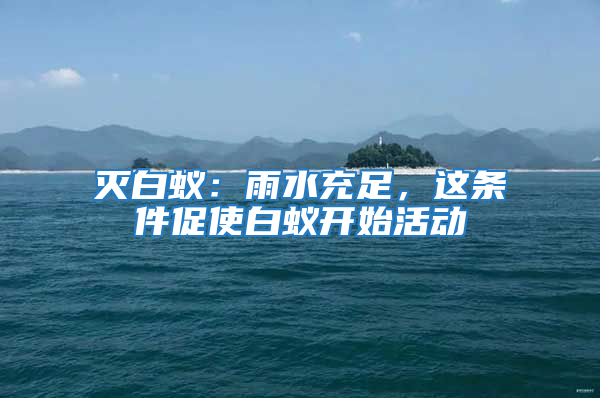 滅白蟻:雨水充足,這條件促使白蟻開始活動