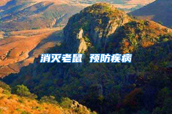 消滅老鼠 預(yù)防疾病