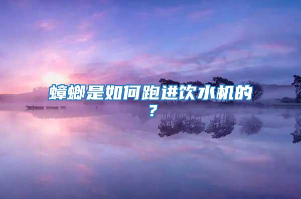 蟑螂是如何跑進飲水機的？