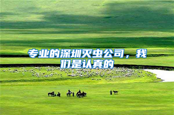 專業的深圳滅蟲公司,我們是認真的